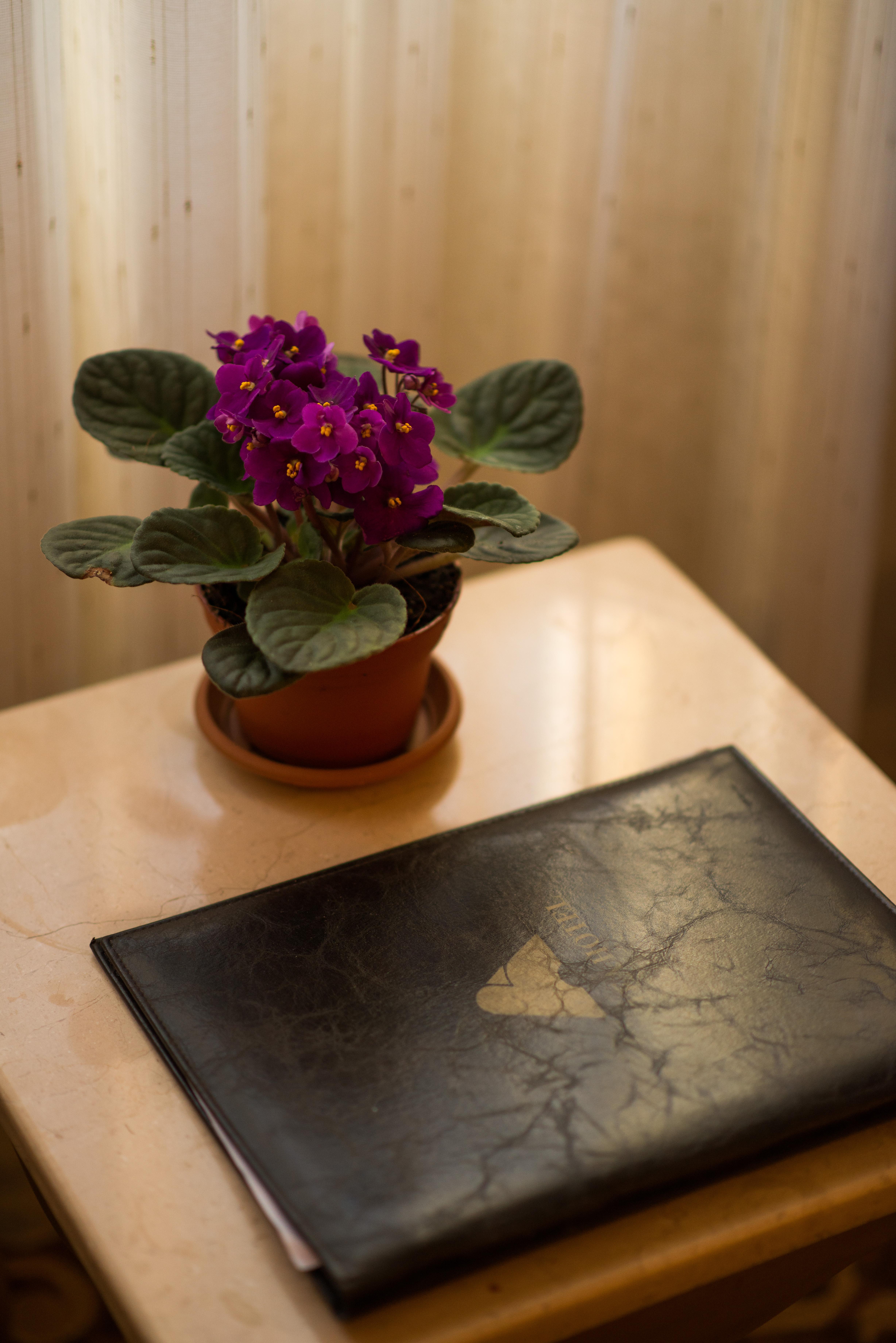 Antea Hotel Oldcity -Special Category Κωνσταντινούπολη Εξωτερικό φωτογραφία